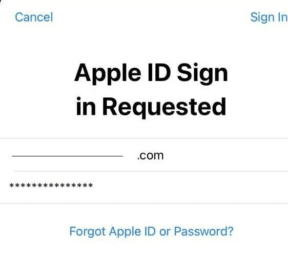 Creating an Apple Developer Account via the mobile app