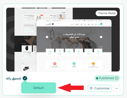 The difference between default and custom theme publishing