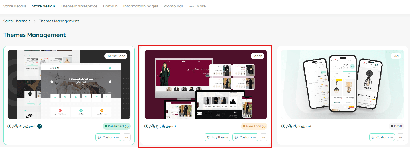 Managing themes, customization, and store content protection
