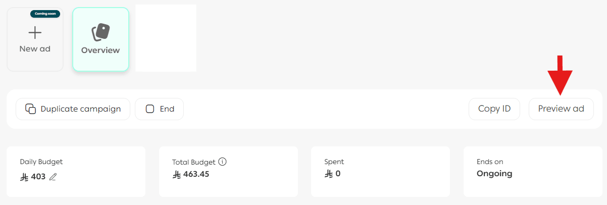Managing Salla Ads