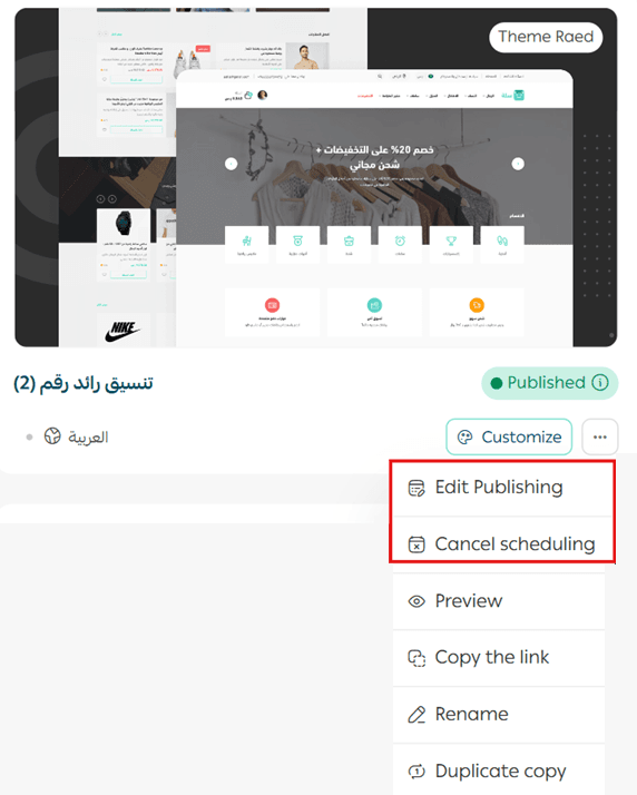 Managing themes, customization, and store content protection