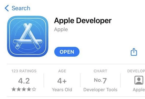 Creating an Apple Developer Account via the mobile app