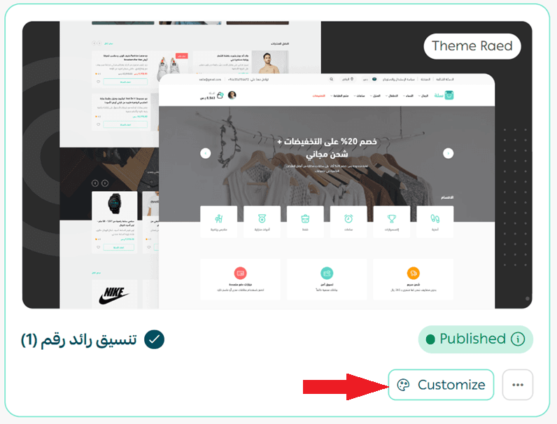 Managing themes, customization, and store content protection