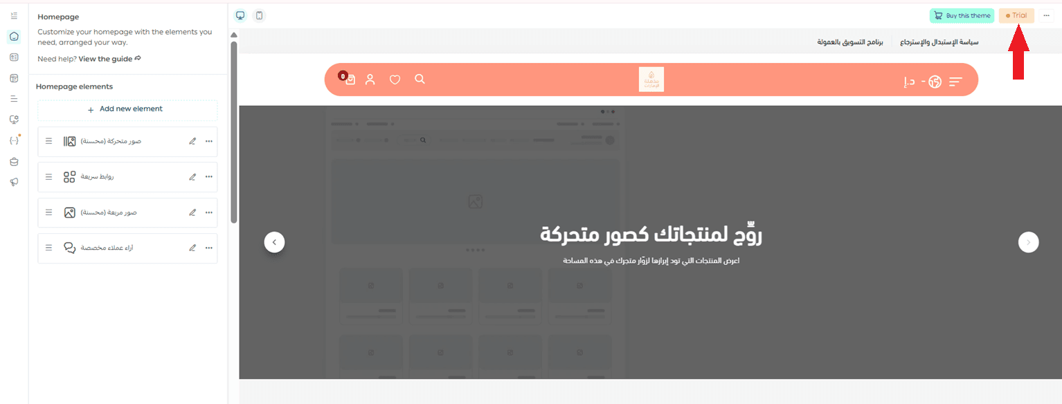 Managing themes, customization, and store content protection