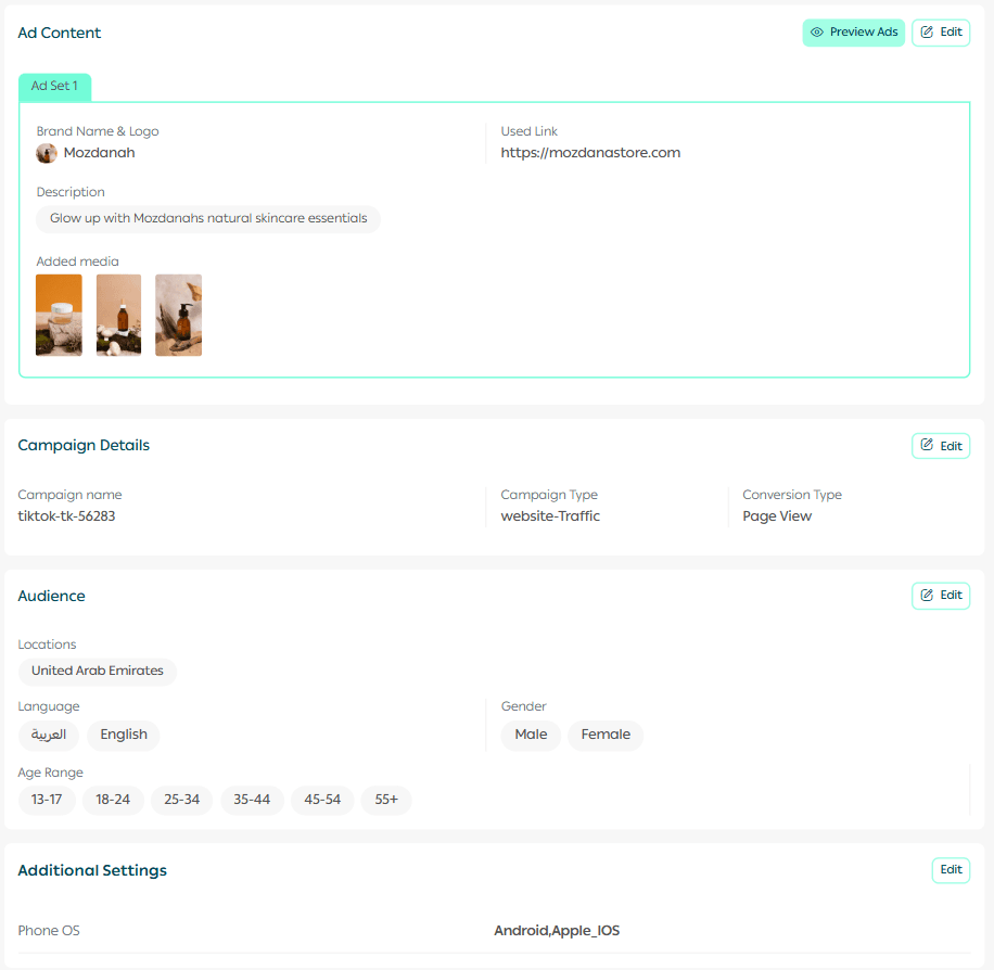 Creating a TikTok advertising campaign