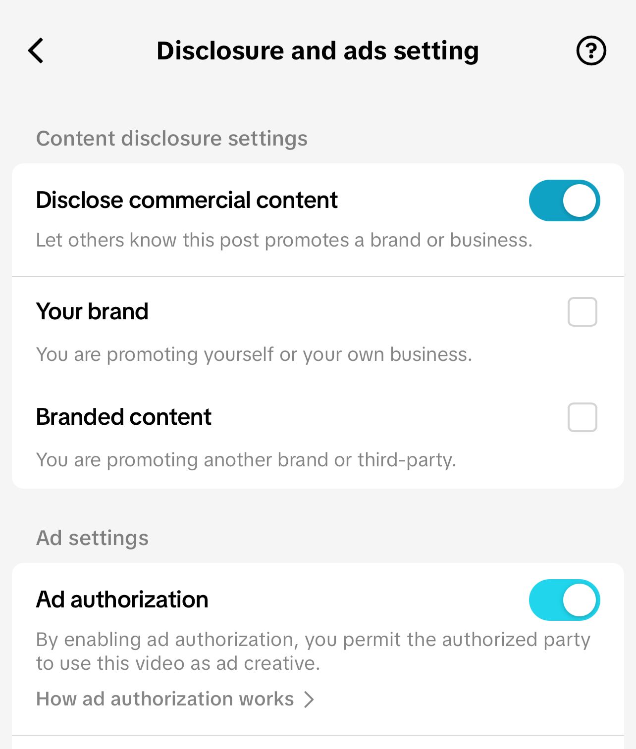Creating a TikTok advertising campaign