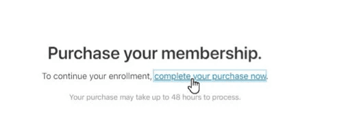 Creating an Apple Developer Account – Payment completion stage