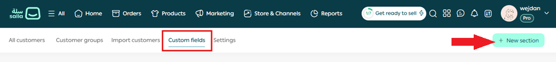 Customizing customer fields