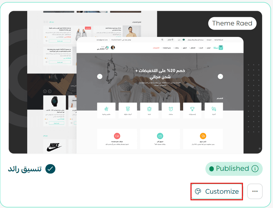 Managing themes, customization, and store content protection