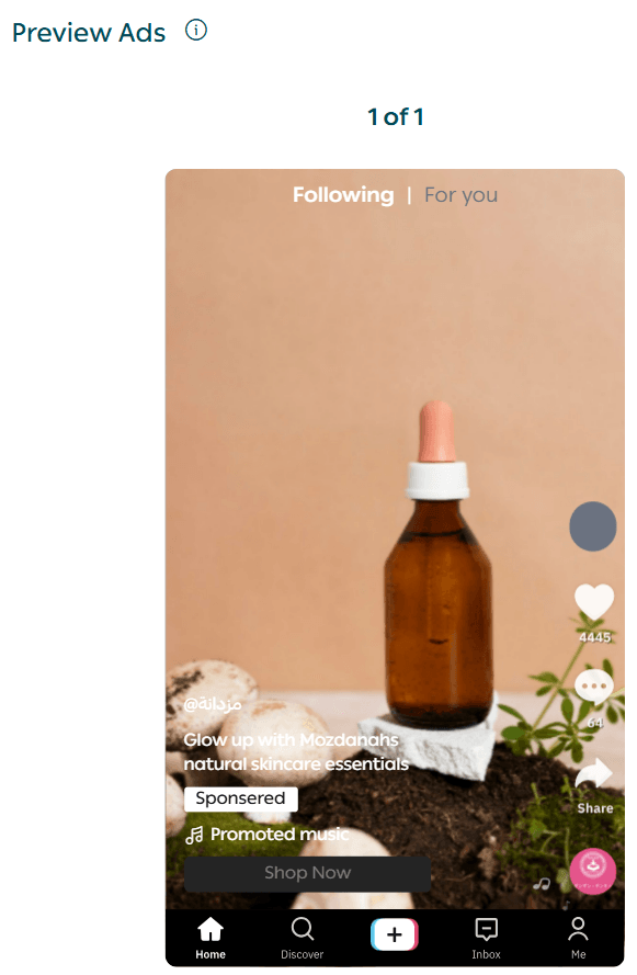 Creating a TikTok advertising campaign